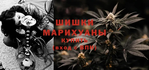 PSILOCYBIN Беломорск