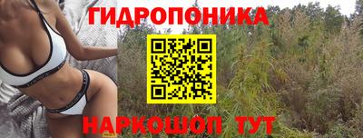 марки nbome Гусь-Хрустальный
