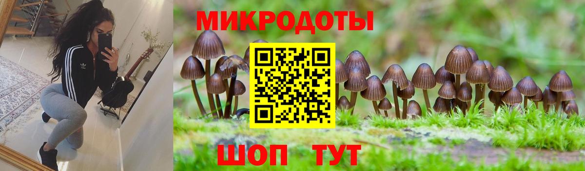 Псилоцибиновые грибы Cubensis  Вход с VPN  Каменск-Шахтинский  Псилоцибиновые грибы Psilocybe 